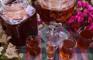 Τί είναι το τσάι Κομπούτσα – Κομπούχα (Kombucha)? πρωτοσέλιδο - Τί είναι το τσάι Κομπούτσα – Κομπούχα (Kombucha)?