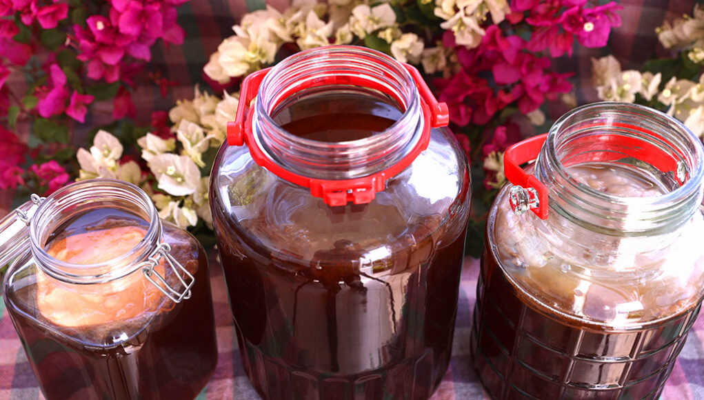 Ζυμώσεις στο τσάι Κομπούτσα – Κομπούχα (Kombucha) – Τί θα πρέπει να ξέρω? πρωτοσέλιδο - Ζυμώσεις στο τσάι Κομπούτσα – Κομπούχα (Kombucha) – Τί θα πρέπει να ξέρω?