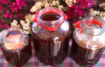 Ζυμώσεις στο τσάι Κομπούτσα – Κομπούχα (Kombucha) – Τί θα πρέπει να ξέρω? πρωτοσέλιδο - Ζυμώσεις στο τσάι Κομπούτσα – Κομπούχα (Kombucha) – Τί θα πρέπει να ξέρω?