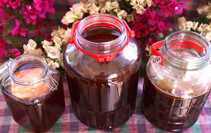 Ζυμώσεις στο τσάι Κομπούτσα – Κομπούχα (Kombucha) – Τί θα πρέπει να ξέρω? πρωτοσέλιδο - Ζυμώσεις στο τσάι Κομπούτσα – Κομπούχα (Kombucha) – Τί θα πρέπει να ξέρω?