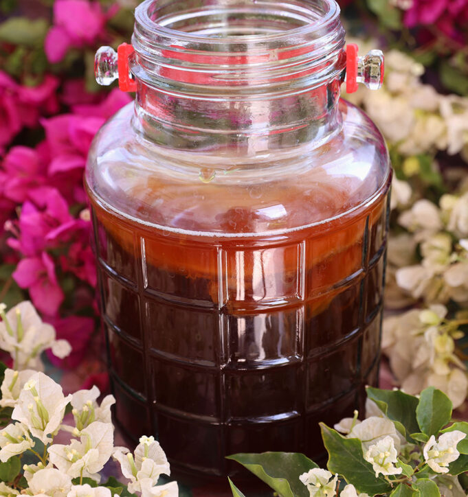 Ποιοί παράγοντες θα επηρεάσουν την ζύμωση στο τσάι Κομπούτσα – Κομπούχα (Kombucha) πρωτοσέλιδο - Ποιοί παράγοντες θα επηρεάσουν την ζύμωση στο τσάι Κομπούτσα – Κομπούχα (Kombucha)