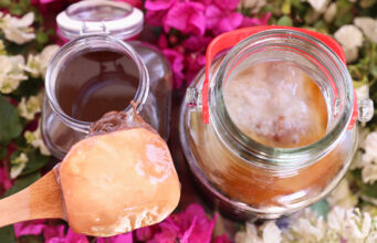 Φτιάχνω τσάι Κομπούτσα – Κομπούχα (Kombucha) με σκόμπι πρωτοσέλιδο - Φτιάχνω τσάι Κομπούτσα – Κομπούχα (Kombucha) με σκόμπι
