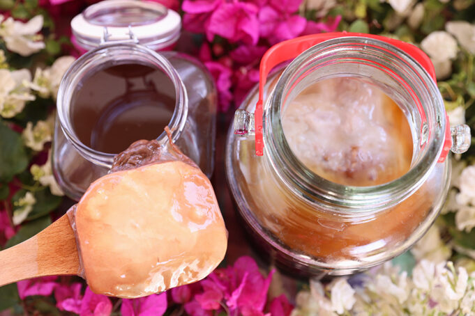 Φτιάχνω τσάι Κομπούτσα – Κομπούχα (Kombucha) με σκόμπι πρωτοσέλιδο - Φτιάχνω τσάι Κομπούτσα – Κομπούχα (Kombucha) με σκόμπι