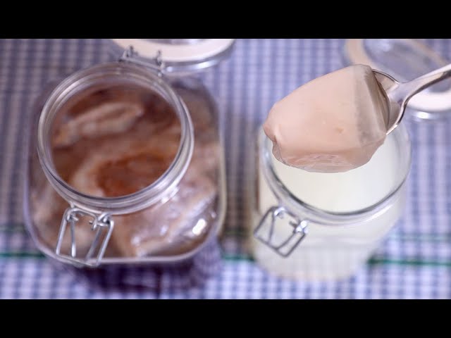 Φτιάχνω ένα ρόφημα από ορό γάλακτος και τσάι Κομπούτσα – Κομπούχα (Kombucha) πρωτοσέλιδο - Φτιάχνω ένα ρόφημα από ορό γάλακτος και τσάι Κομπούτσα – Κομπούχα (Kombucha)