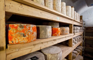 Ξύλινα ράφια για την ωρίμανση των τυριών? Είναι πράγματι αναντικατάστατα? πρωτοσέλιδο - Ξύλινα ράφια για την ωρίμανση των τυριών? Είναι πράγματι αναντικατάστατα?
