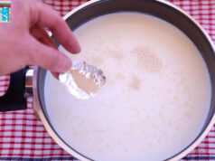 Ζυμομύκητες και αλκοολική ζύμωση – Πόση ποσότητα Μαγιάς θα πρέπει να προσθέσω? πρωτοσέλιδο - Ζυμομύκητες και αλκοολική ζύμωση - Πόση ποσότητα Μαγιάς να προσθέσω?