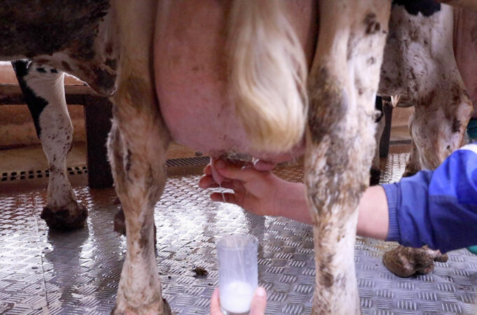 7 καλοί λόγοι για να παστεριώσω το γάλα μου πρωτοσέλιδο - 7 καλοί λόγοι για να παστεριώσω το γάλα μου