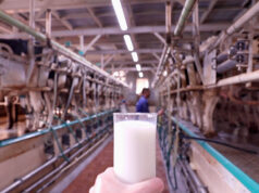 Ποιές νομίζετε ότι είναι οι προδιαγραφές στο παστεριωμένο γάλα? πρωτοσέλιδο - Ποιές νομίζετε ότι είναι οι προδιαγραφές στο παστεριωμένο γάλα?