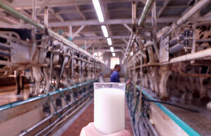 Ποιές νομίζετε ότι είναι οι προδιαγραφές στο παστεριωμένο γάλα? πρωτοσέλιδο - Ποιές νομίζετε ότι είναι οι προδιαγραφές στο παστεριωμένο γάλα?