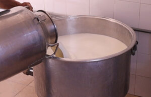 Τί πρέπει οπωσδήποτε να γνωρίζω για την ανάπτυξη των μικροοργανισμών – Μέρος 1ο πρωτοσέλιδο - Τί πρέπει οπωσδήποτε να γνωρίζω για την ανάπτυξη των μικροοργανισμών – Μέρος 1ο