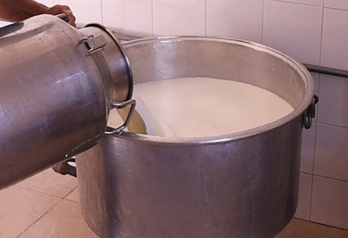 Τί πρέπει οπωσδήποτε να γνωρίζω για την ανάπτυξη των μικροοργανισμών – Μέρος 1ο πρωτοσέλιδο - Τί πρέπει οπωσδήποτε να γνωρίζω για την ανάπτυξη των μικροοργανισμών – Μέρος 1ο