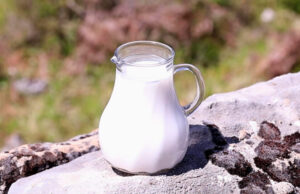 Γάλα + Φως = Δυσάρεστο flavor + Μείωση θρεπτικής αξίας πρωτοσέλιδο - Γάλα + Φως = Δυσάρεστο flavor + Μείωση θρεπτικής αξίας