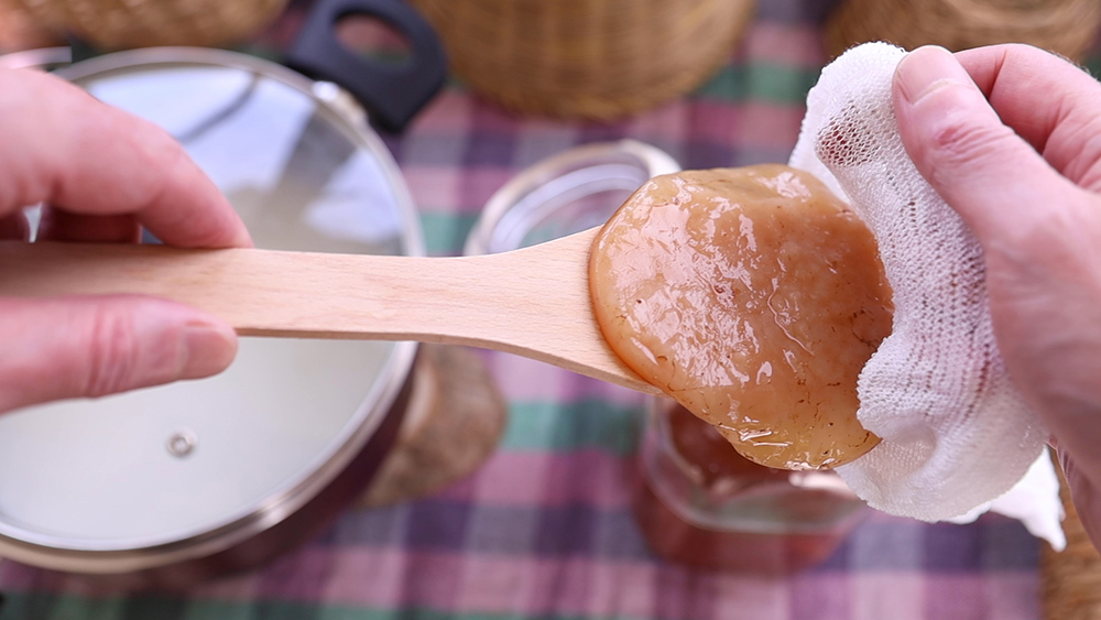 Φτιάχνω γιαούρτι με σκόμπι (scoby) κομπoύτσα – κομπούχα (kombucha)