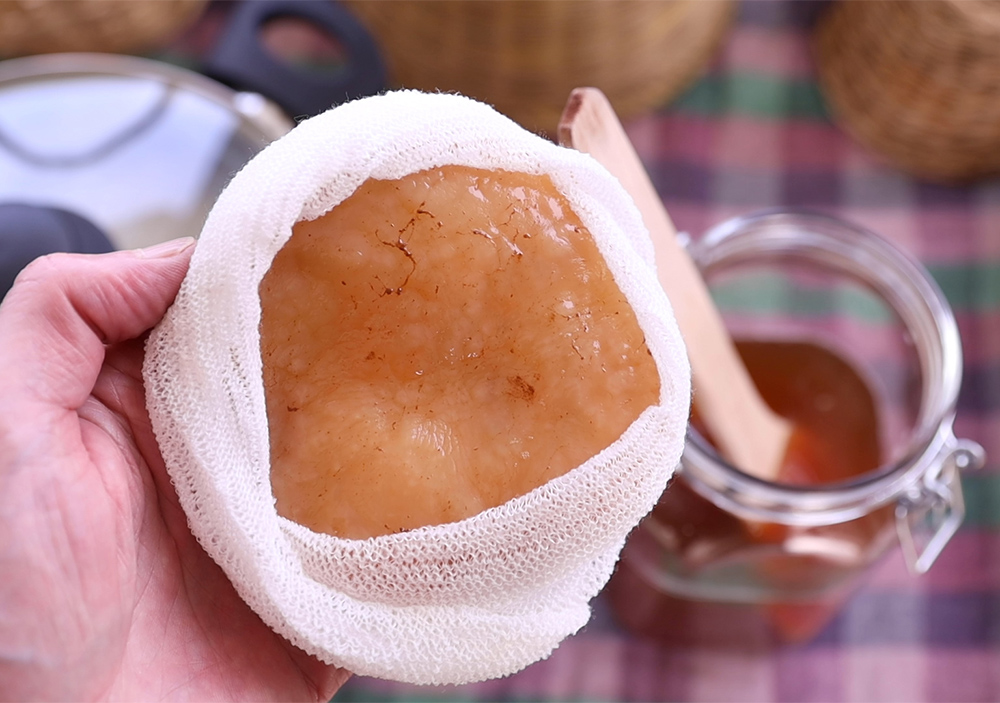 Φτιάχνω γιαούρτι με σκόμπι (scoby) κομπoύτσα – κομπούχα (kombucha)