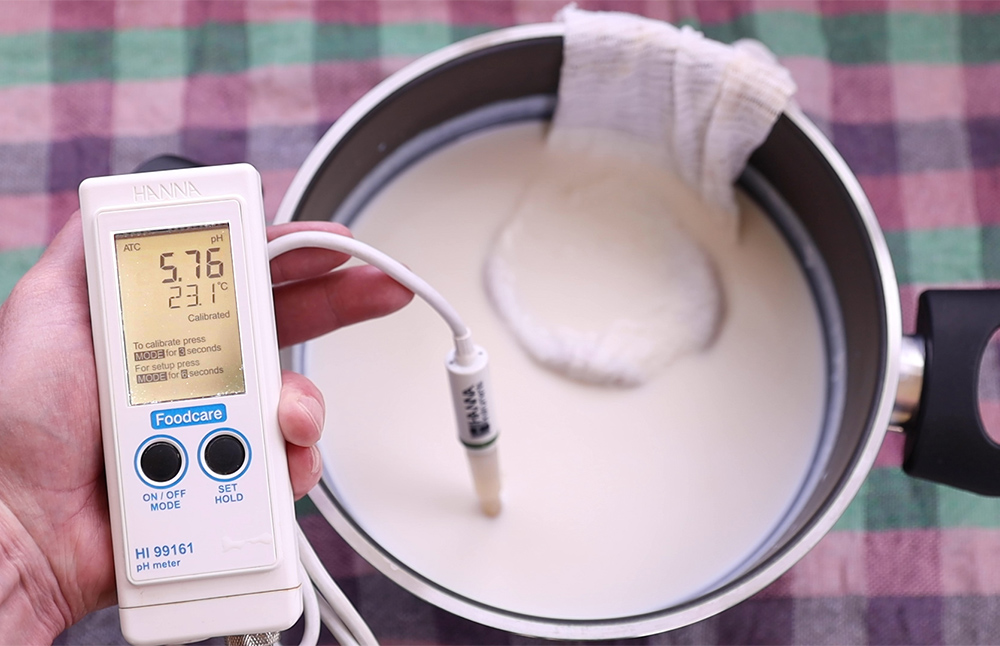 Φτιάχνω γιαούρτι με σκόμπι (scoby) κομπoύτσα – κομπούχα (kombucha)