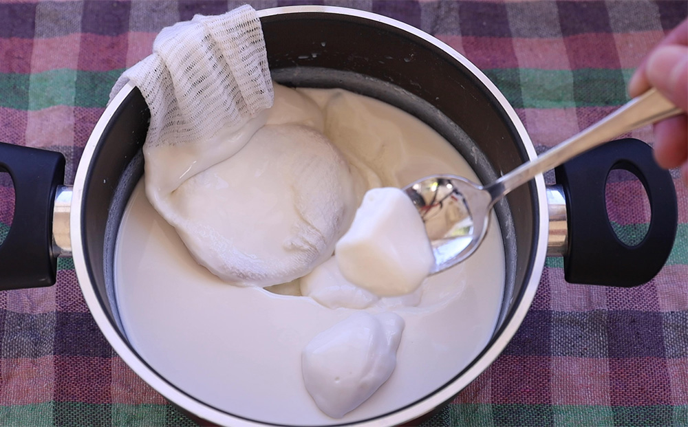 Φτιάχνω γιαούρτι με σκόμπι (scoby) κομπoύτσα – κομπούχα (kombucha)