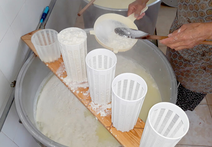 11+1 αλήθειες για τα ελληνικά τυριά τυρογάλακτος πρωτοσέλιδο - 11+1 αλήθειες για τα ελληνικά τυριά τυρογάλακτος