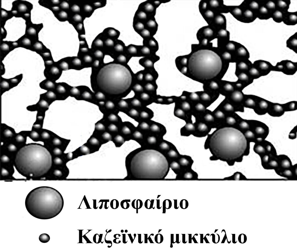 Αποβολή ορού στο γιαούρτι - Μέρος 1ο