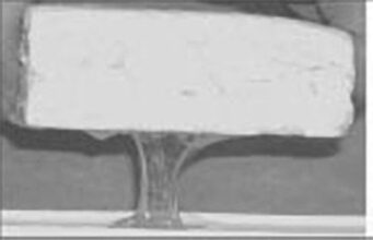 Βλεννώδης Επιφάνεια ή Μύξιασμα της άλμης – Τί θα πρέπει να ξέρω? πρωτοσέλιδο - Βλεννώδης Επιφάνεια ή Μύξιασμα της άλμης - Τί θα πρέπει να ξέρω?