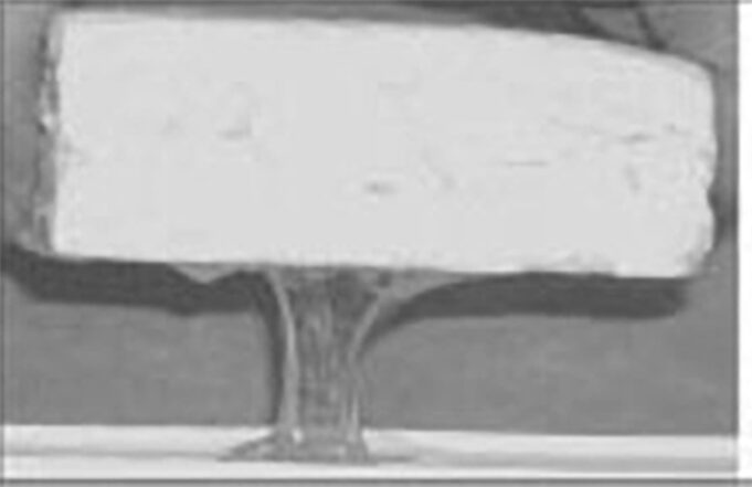 Βλεννώδης Επιφάνεια ή Μύξιασμα της άλμης – Τί θα πρέπει να ξέρω? πρωτοσέλιδο - Βλεννώδης Επιφάνεια ή Μύξιασμα της άλμης - Τί θα πρέπει να ξέρω?