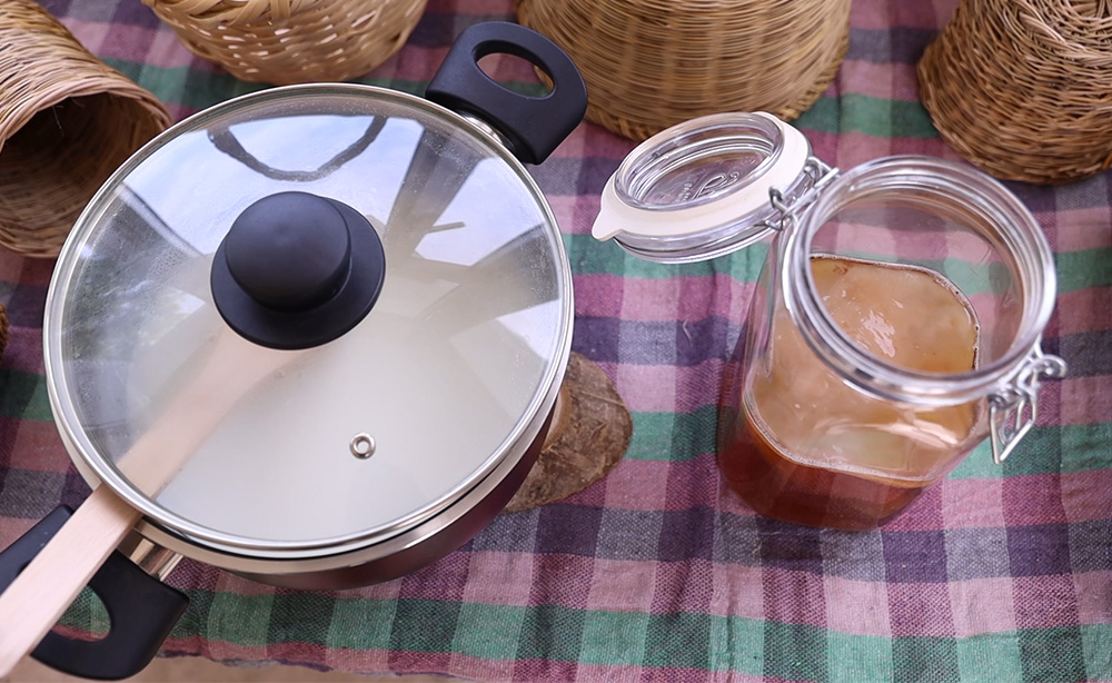 Φτιάχνω γιαούρτι με σκόμπι (scoby) κομπoύτσα – κομπούχα (kombucha)