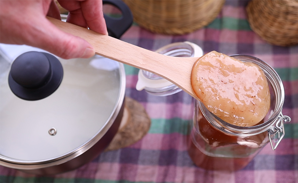 Φτιάχνω γιαούρτι με σκόμπι (scoby) κομπoύτσα – κομπούχα (kombucha)