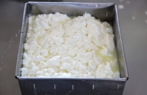 Τί πρέπει οπωσδήποτε να γνωρίζουν οι επίδοξοι παρασκευαστές του τυριού Φέτα πρωτοσέλιδο - Τι πρέπει οπωσδήποτε να γνωρίζουν οι επίδοξοι παρασκευαστές του τυριού Φέτα