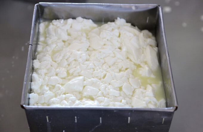 Τί πρέπει οπωσδήποτε να γνωρίζουν οι επίδοξοι παρασκευαστές του τυριού Φέτα πρωτοσέλιδο - Τι πρέπει οπωσδήποτε να γνωρίζουν οι επίδοξοι παρασκευαστές του τυριού Φέτα