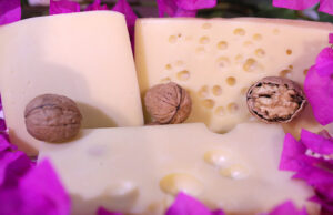 Προπιονικά Βακτήρια – Πώς τα προπιονικά βακτήρια δημιουργούν τις οπές στο τυρί Emmental και στο τυρί Γραβιέρα? Ποιά η συμμετοχή των προπιονικών βακτηρίων στο flavor των τυριών? πρωτοσέλιδο - Προπιονικά Βακτήρια - Πώς τα προπιονικά βακτήρια δημιουργούν τις οπές στο τυρί Emmental και στο τυρί Γραβιέρα? Ποιά η συμμετοχή των προπιονικών βακτηρίων στο flavor των τυριών?