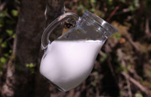 Πρωτόγαλα – Η τροφή των θεών πρωτοσέλιδο - Πρωτόγαλα – Η τροφή των θεών