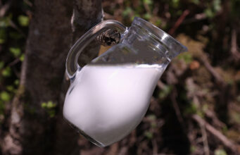 Πρωτόγαλα – Η τροφή των θεών πρωτοσέλιδο - Πρωτόγαλα – Η τροφή των θεών