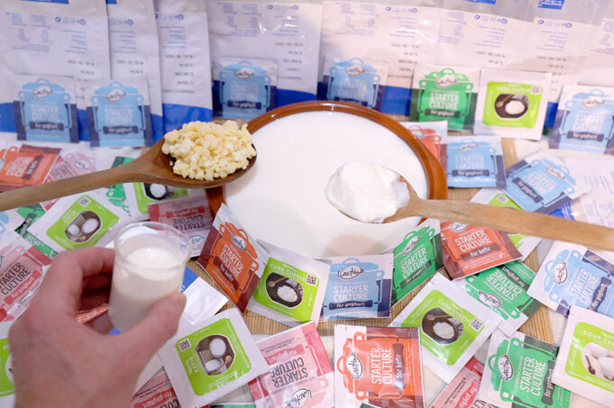 Τί θα πρέπει οπωσδήποτε να ξέρω για τις καλλιέργειες εκκίνησης (starter cultures) στα γαλακτοκομικά προϊόντα? πρωτοσέλιδο - Τί θα πρέπει οπωσδήποτε να ξέρω για τις καλλιέργειες εκκίνησης (starter cultures) στα γαλακτοκομικά προϊόντα?