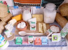 Θερμόφιλα Οξυγαλακτικά Βακτήρια στην Γαλακτοκομία και στην Τυροκομία – Ποιά να επιλέξω? πρωτοσέλιδο - Θερμόφιλα Οξυγαλακτικά Βακτήρια – Ποιά να επιλέξω?