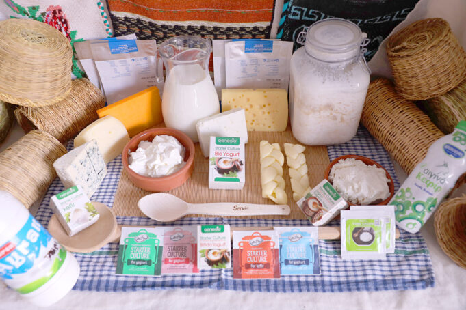 Θερμόφιλα Οξυγαλακτικά Βακτήρια στην Γαλακτοκομία και στην Τυροκομία – Ποιά να επιλέξω? πρωτοσέλιδο - Θερμόφιλα Οξυγαλακτικά Βακτήρια – Ποιά να επιλέξω?