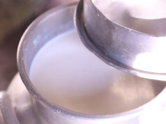 Γαλακτική Ζύμωση – Η 1η ζύμωση η οποία μάς ενδιαφέρει πρωτοσέλιδο - Γαλακτική Ζύμωση – Η 1η ζύμωση η οποία μάς ενδιαφέρει