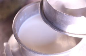 Γαλακτική Ζύμωση – Η 1η ζύμωση η οποία μάς ενδιαφέρει πρωτοσέλιδο - Γαλακτική Ζύμωση – Η 1η ζύμωση η οποία μάς ενδιαφέρει