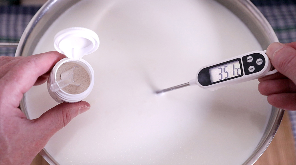 Όλα όσα θα θέλατε να ξέρετε για την πυτιά φυτικής προέλευσης