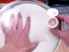 Γιατί η πυτιά πήζει το γάλα? πρωτοσέλιδο - Γιατί η πυτιά πήζει το γάλα?