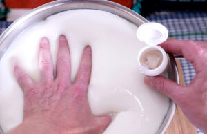 Γιατί η πυτιά πήζει το γάλα? πρωτοσέλιδο - Γιατί η πυτιά πήζει το γάλα?