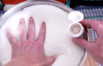 Γιατί η πυτιά πήζει το γάλα? πρωτοσέλιδο - Γιατί η πυτιά πήζει το γάλα?