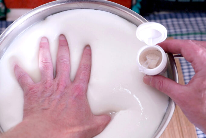 Γιατί η πυτιά πήζει το γάλα? πρωτοσέλιδο - Γιατί η πυτιά πήζει το γάλα?