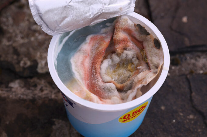 Πώς οι ζυμομύκητες προκαλούν κακή δομή και άσχημο flavor στα γαλακτοκομικά προϊόντα πρωτοσέλιδο - Πώς οι ζυμομύκητες προκαλούν κακή δομή και άσχημο flavor στα γαλακτοκομικά προϊόντα