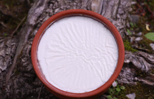 9 κρίσιμα σημεία για να τελειοποιήσετε το γιαούρτι πρωτοσέλιδο- 9 κρίσιμα σημεία για να τελειοποιήσετε το γιαούρτι