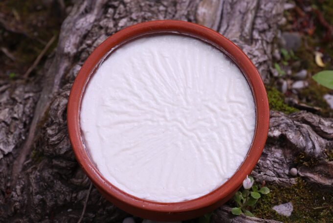 9 κρίσιμα σημεία για να τελειοποιήσετε το γιαούρτι πρωτοσέλιδο- 9 κρίσιμα σημεία για να τελειοποιήσετε το γιαούρτι