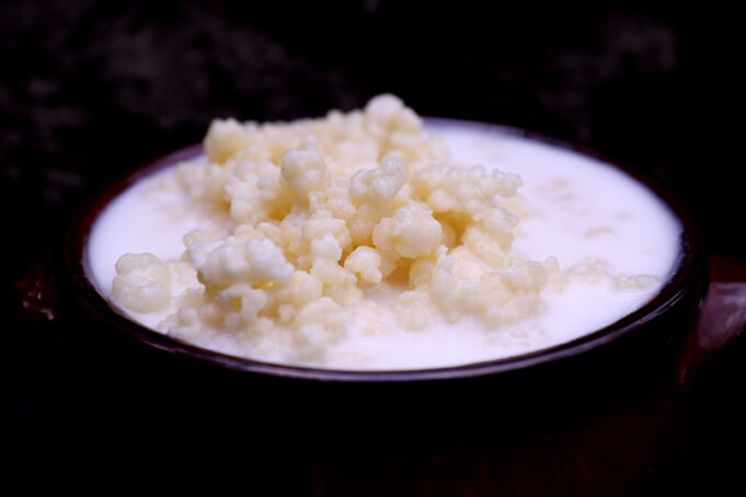 Ποιοί παράγοντες θα καθορίσουν την ποιότητα του κεφίρ πού θα φτιάξω? Γιατί το κεφίρ δεν είναι ποτέ το ίδιο? – Μέρος 2ο πρωτοσέλιδο - Ποιοι παράγοντες θα καθορίσουν την ποιότητα του κεφίρ πού θα φτιάξω? Γιατί το κεφίρ δεν είναι ποτέ το ίδιο? - Μέρος 2ο