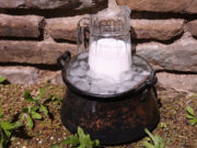 Ψυχρότροπα βακτήρια – The X factor πρωτοσέλιδο-Ψυχρότροπα βακτήρια – The X factor