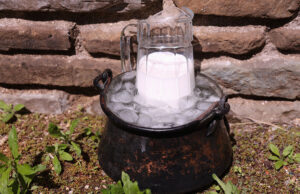 Ψυχρότροπα βακτήρια – The X factor πρωτοσέλιδο-Ψυχρότροπα βακτήρια – The X factor