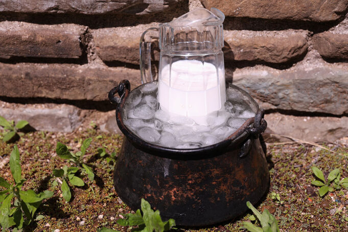 Ψυχρότροπα βακτήρια – The X factor πρωτοσέλιδο-Ψυχρότροπα βακτήρια – The X factor