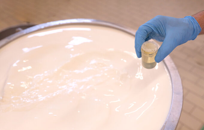 Πόση πυτιά πρέπει να προσθέσω στο γάλα μου? πρωτοσέλιδο - Πόση πυτιά πρέπει να προσθέσω στο γάλα μου?