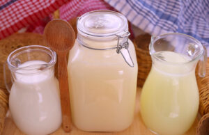 Δείτε γιατί εσείς θα πρέπει να ξεκινήσετε να ασχολείστε με την Οικιακή Παρασκευή Ζυμωμένων Γαλάτων πρωτοσέλιδο - Δείτε γιατί εσείς θα πρέπει να ξεκινήσετε να ασχολείστε με την Οικιακή Παρασκευή Ζυμωμένων Γαλάτων